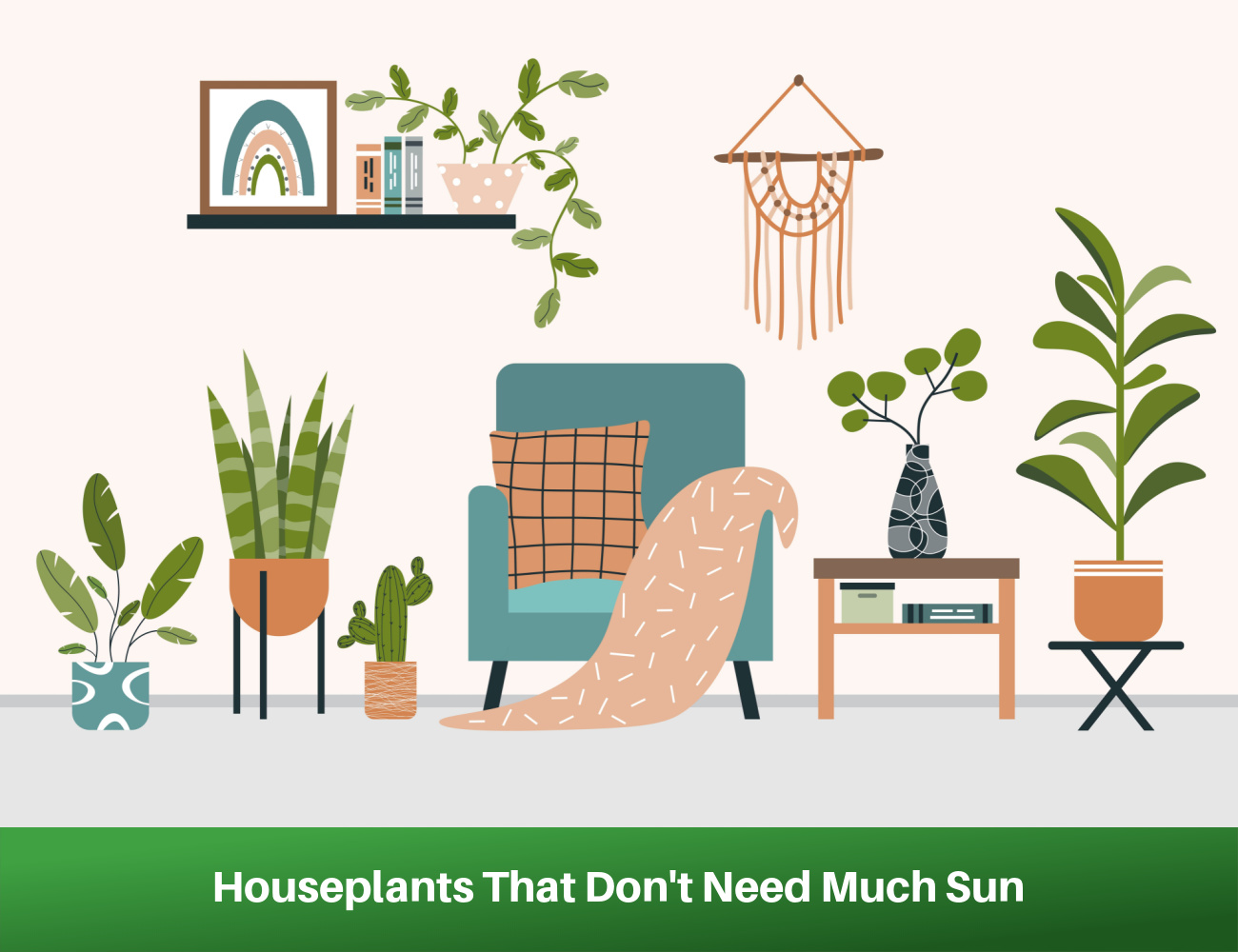 Houseplants Don't Need Much Sun