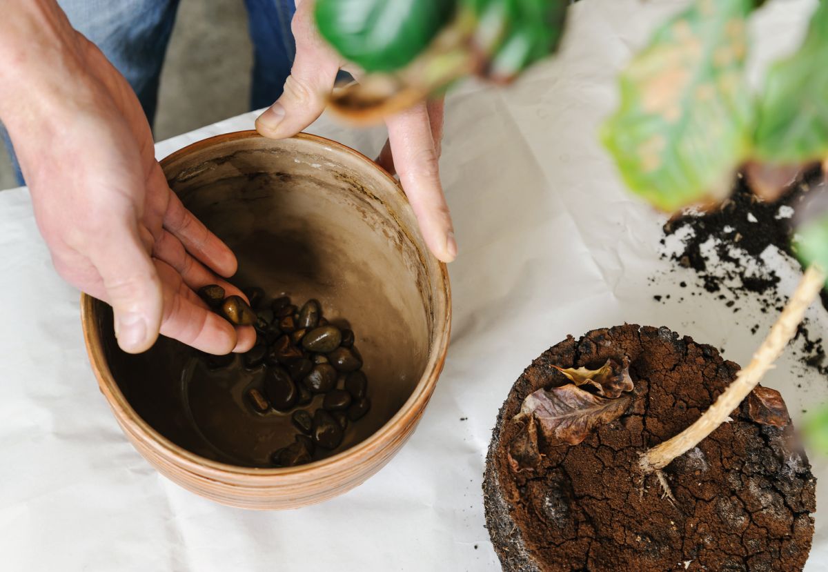 Add a Drainage Layer to Your Plant Pots