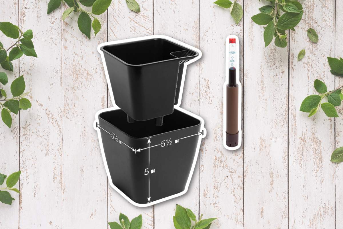 Best Easy to Use Self Watering Plant Pot