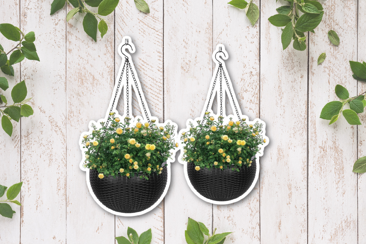 Best Hanging Basket Self Watering Plant Pot