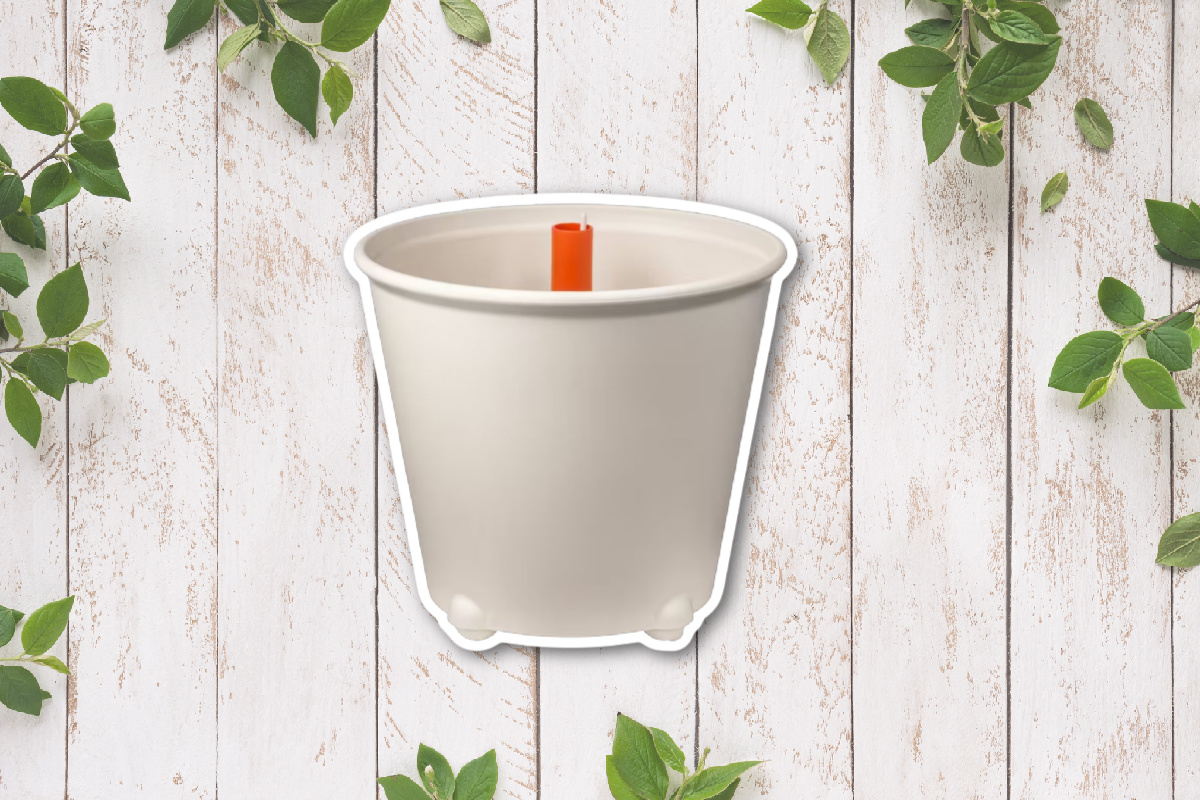 Best Moveable Self Watering Planter