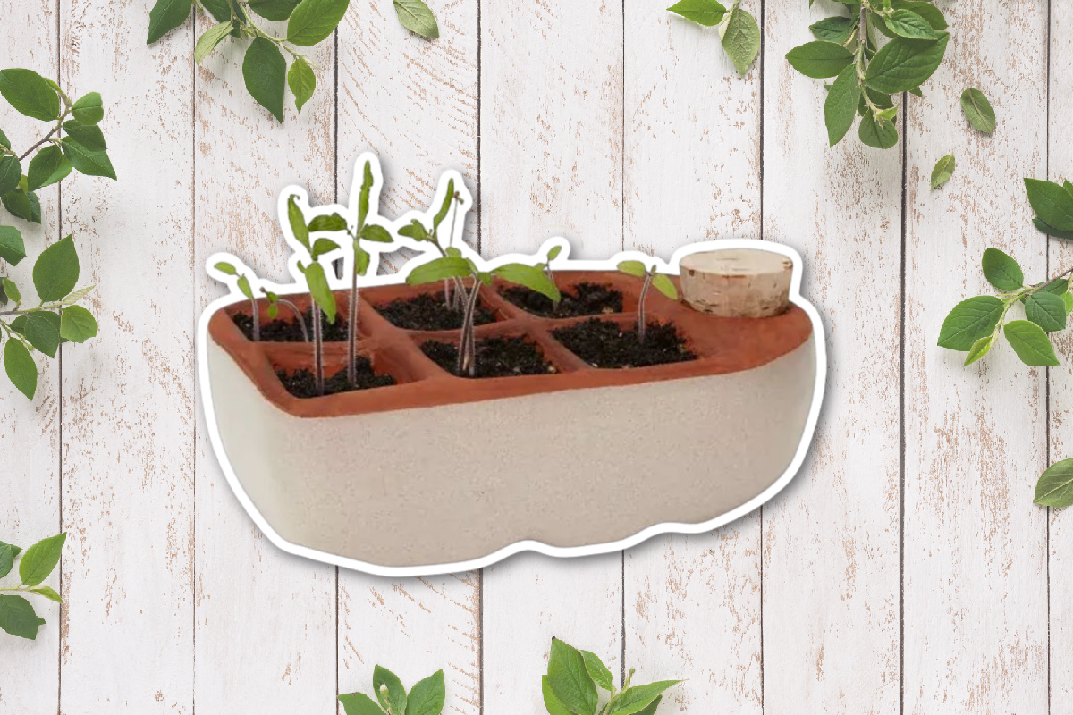 Best Seed Starter Self Watering Container