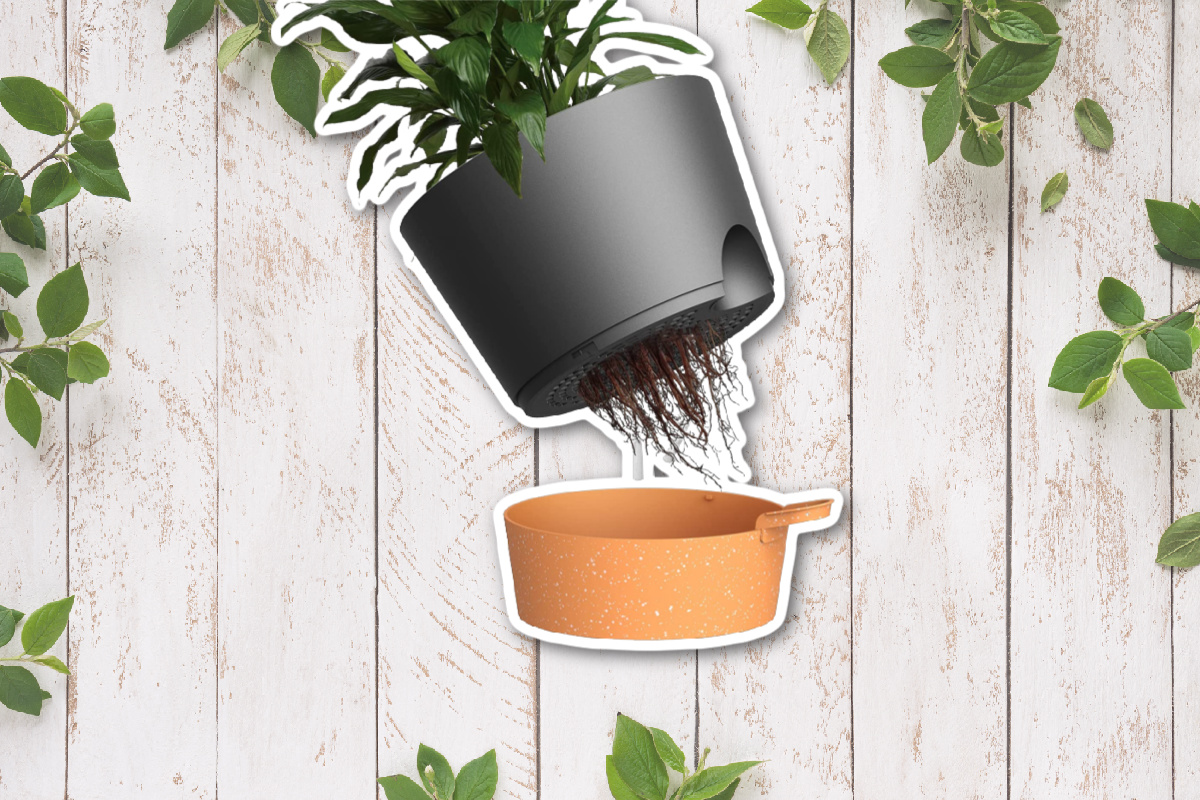 Best Self Watering Pot Self