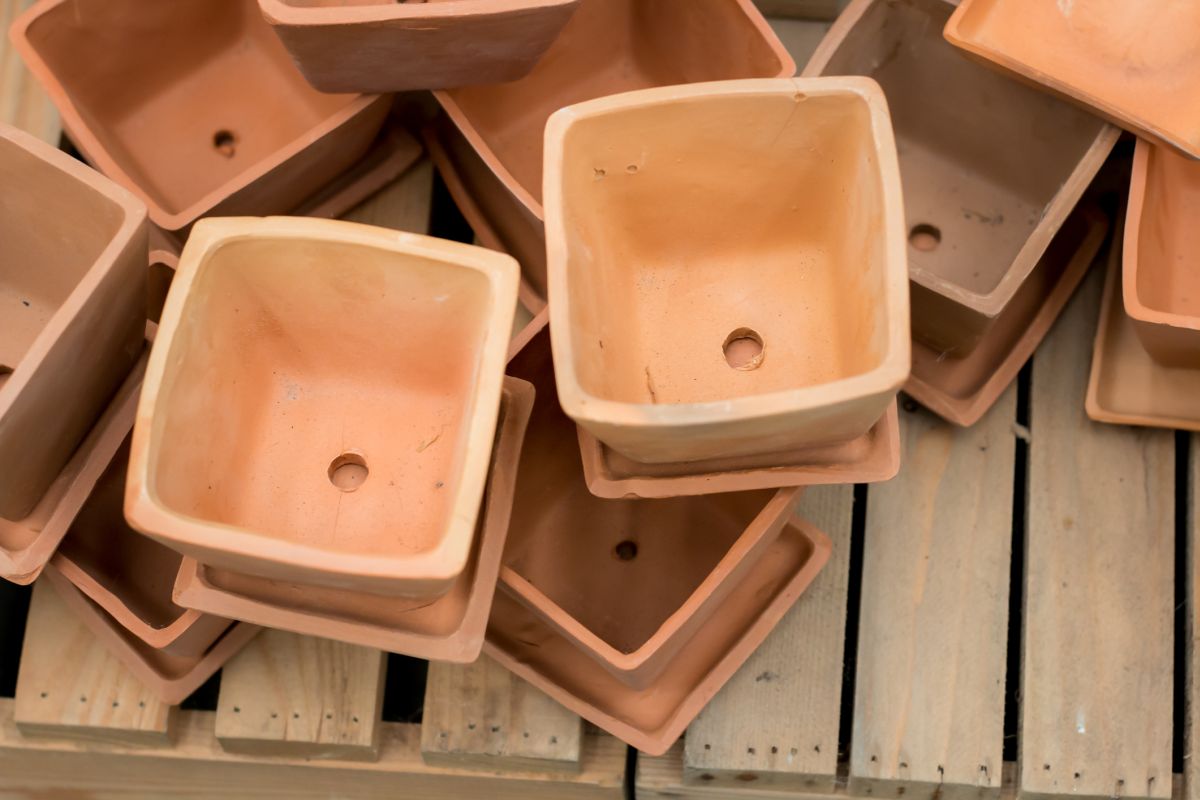Pot Drainage Holes And How They Protect Your Plants
