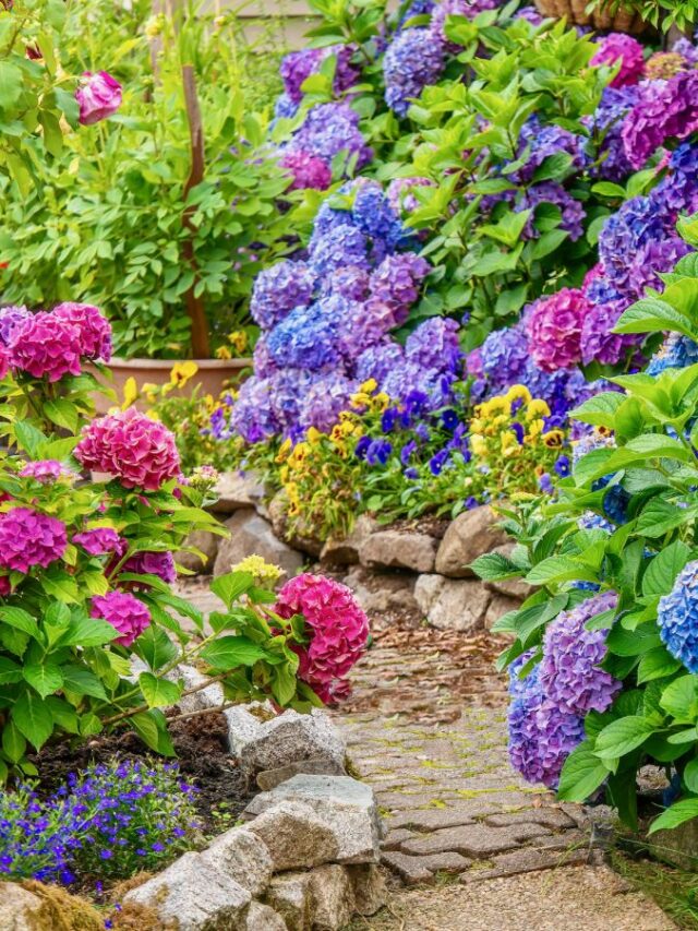 20 Flowering Bushes for a Vibrant Garden