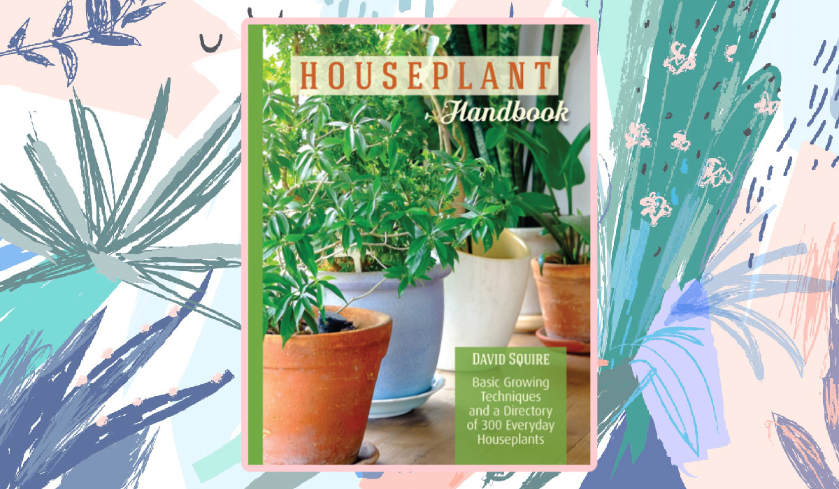 A Houseplant Handbook  