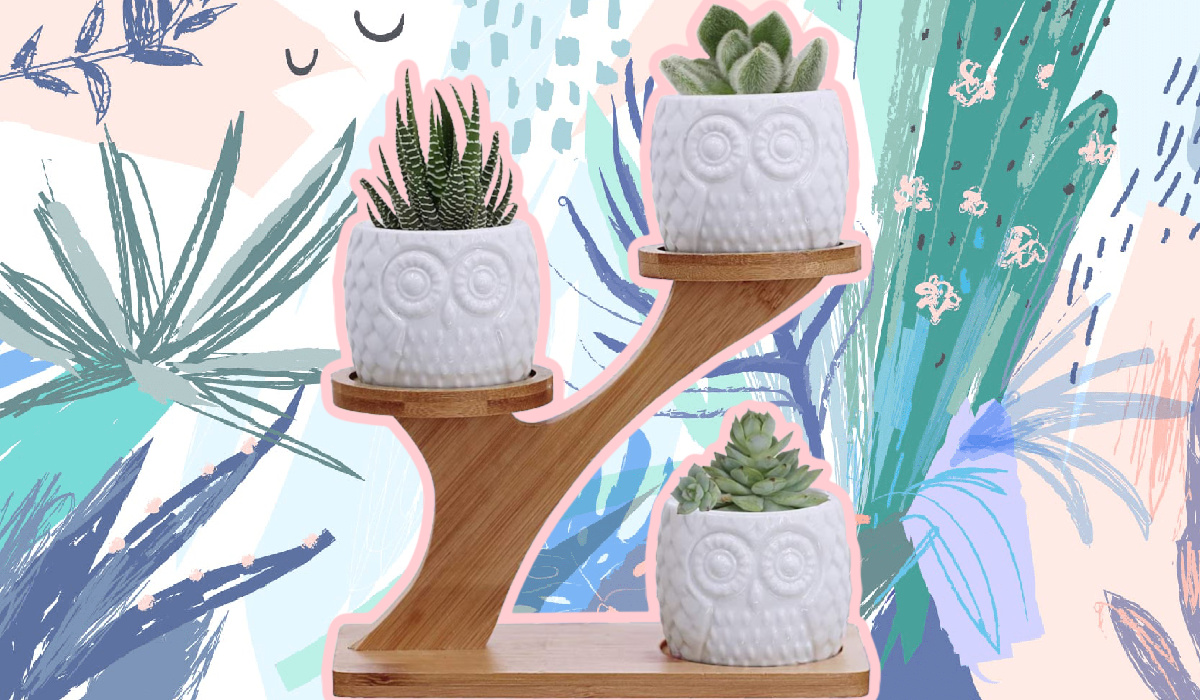 Ceramic Owl Succulent Planter Pot 