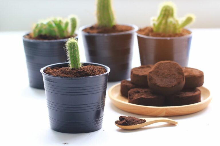 Is Coffee Good For Plants? Let’s Find Out