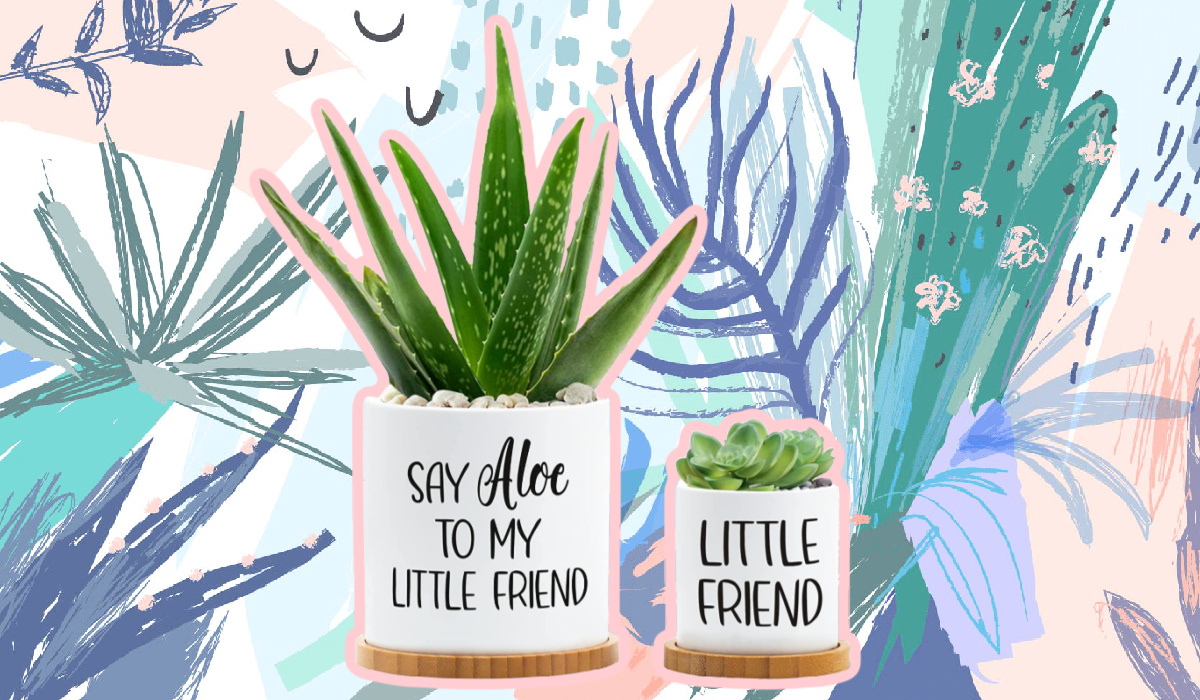 Say Aloe To My Little Friend Planter  