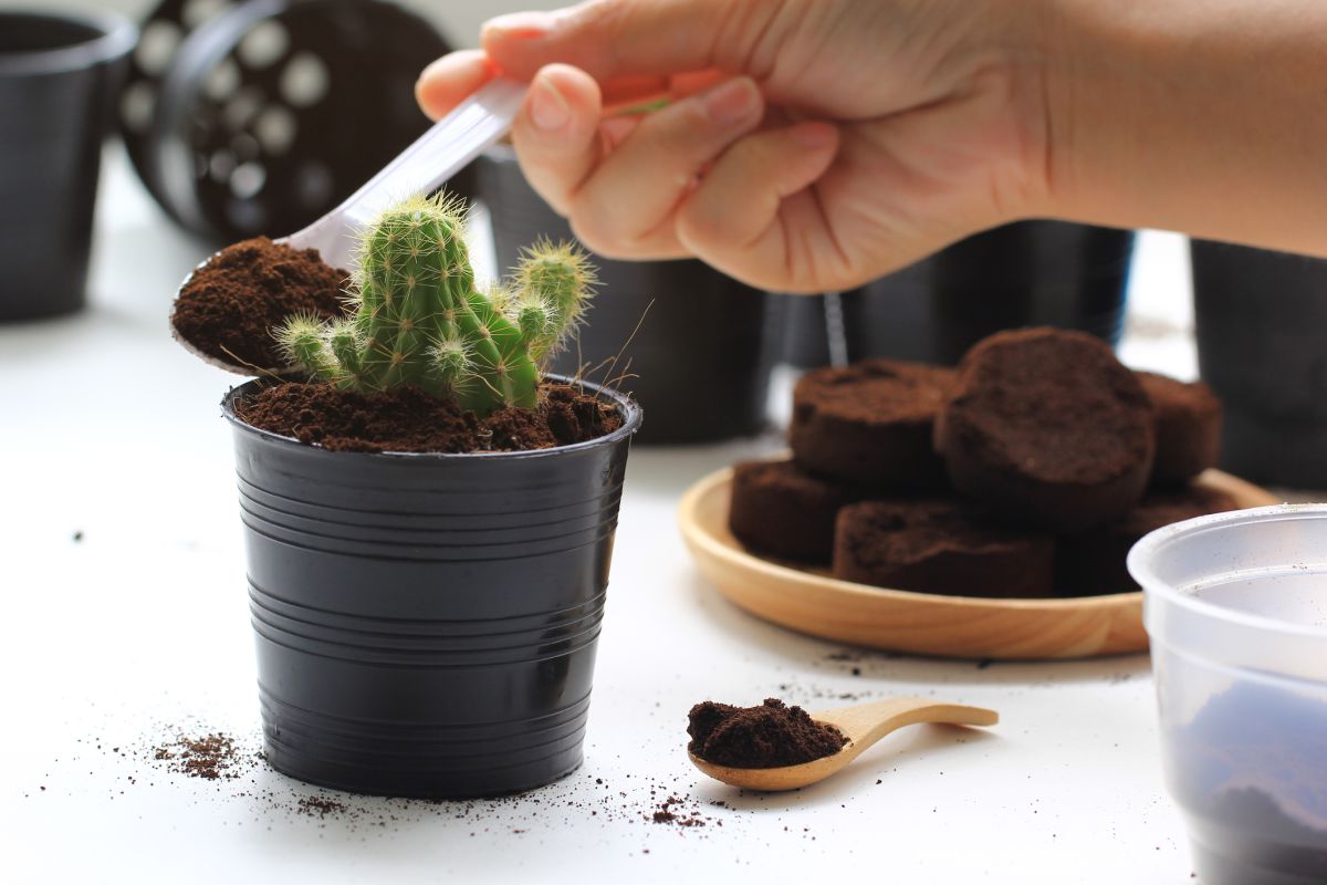 https://houseplantcentral.com/wp-content/uploads/2022/11/Should-You-Use-Liquid-Coffee-Or-Coffee-Grounds.jpg