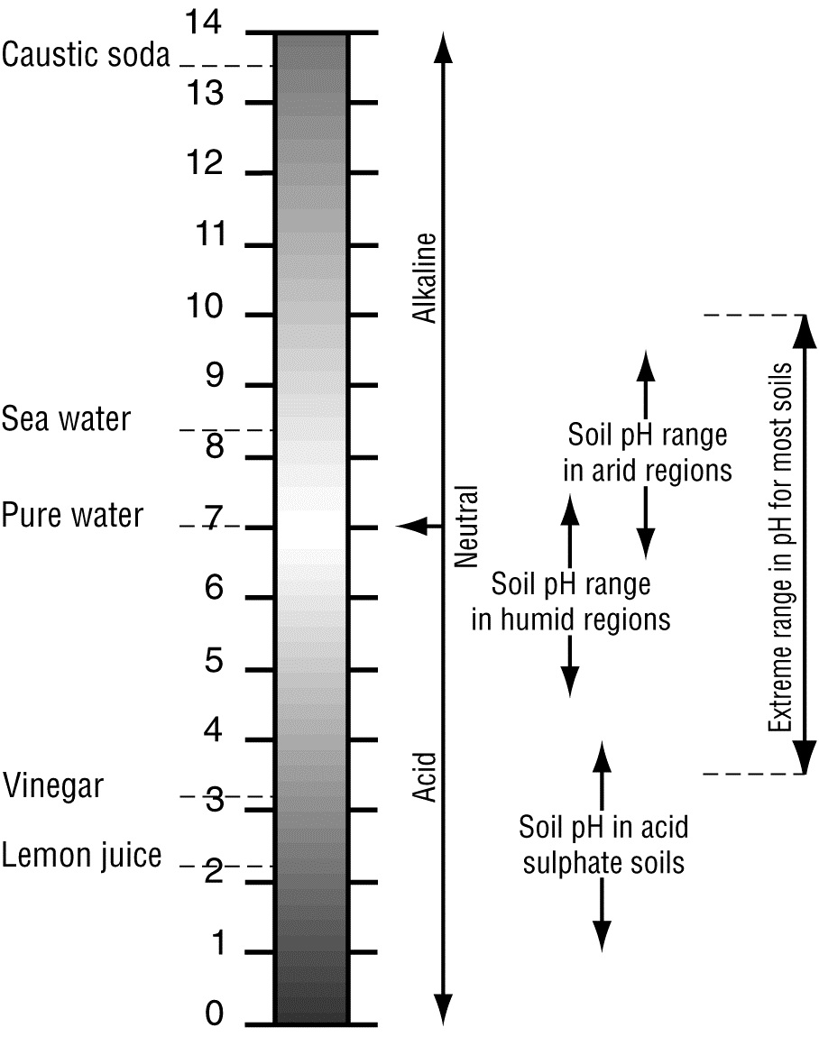 The range of pH values found in soils.