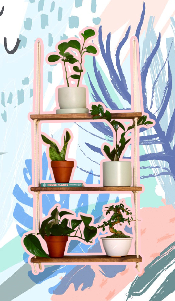 Window Plant Shelf