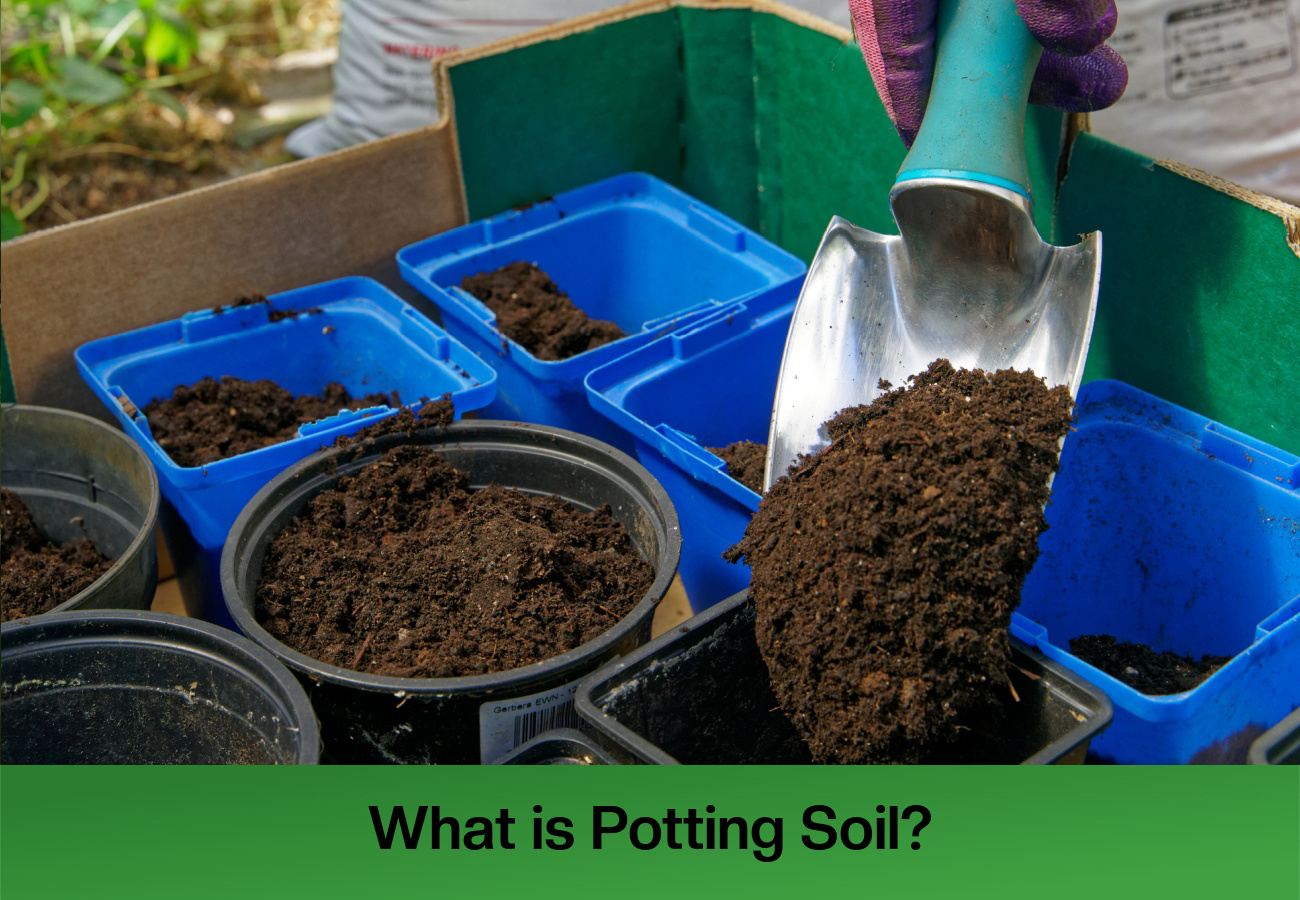 Potting Soil Vs Potting Mix: What's The Difference?, 40% OFF