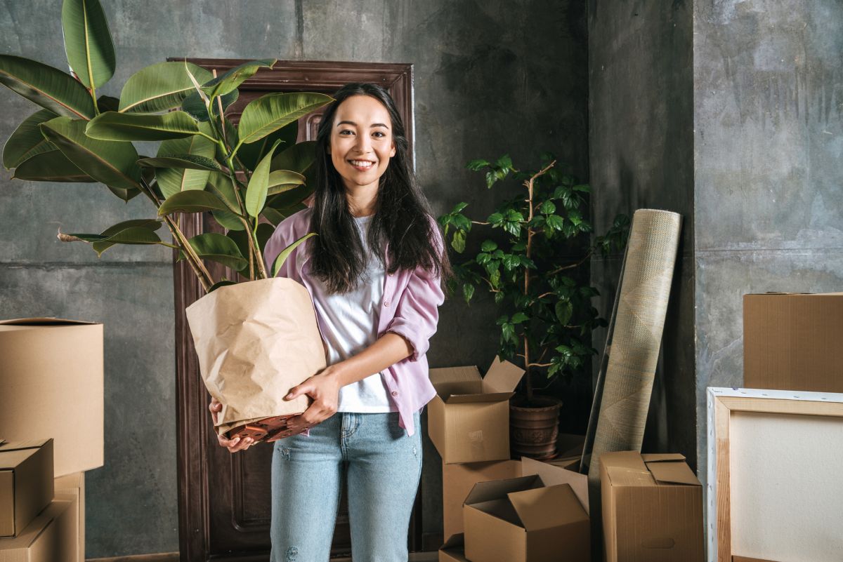 3 Tips for Relocating Houseplants When Moving